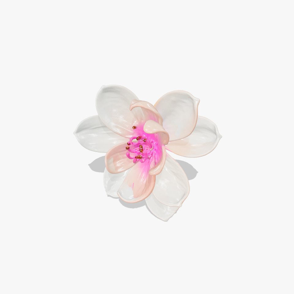 Floral Blossom D Model Pack
