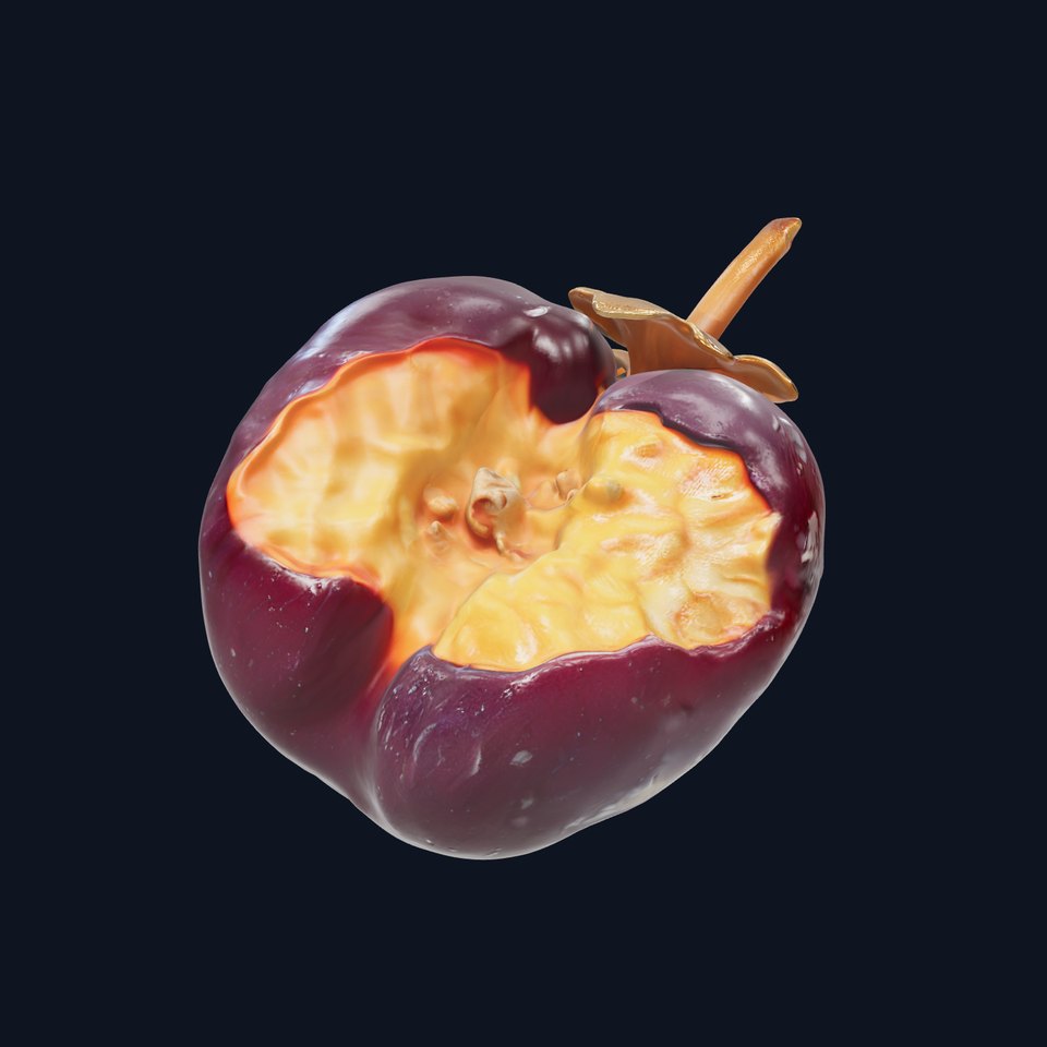 Realistic Decayed Apple Model Pack