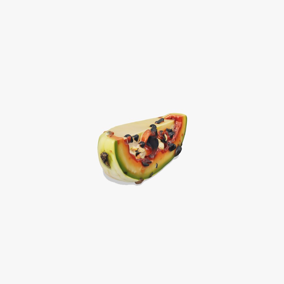 Burnt Vegetable Slice Model Pack