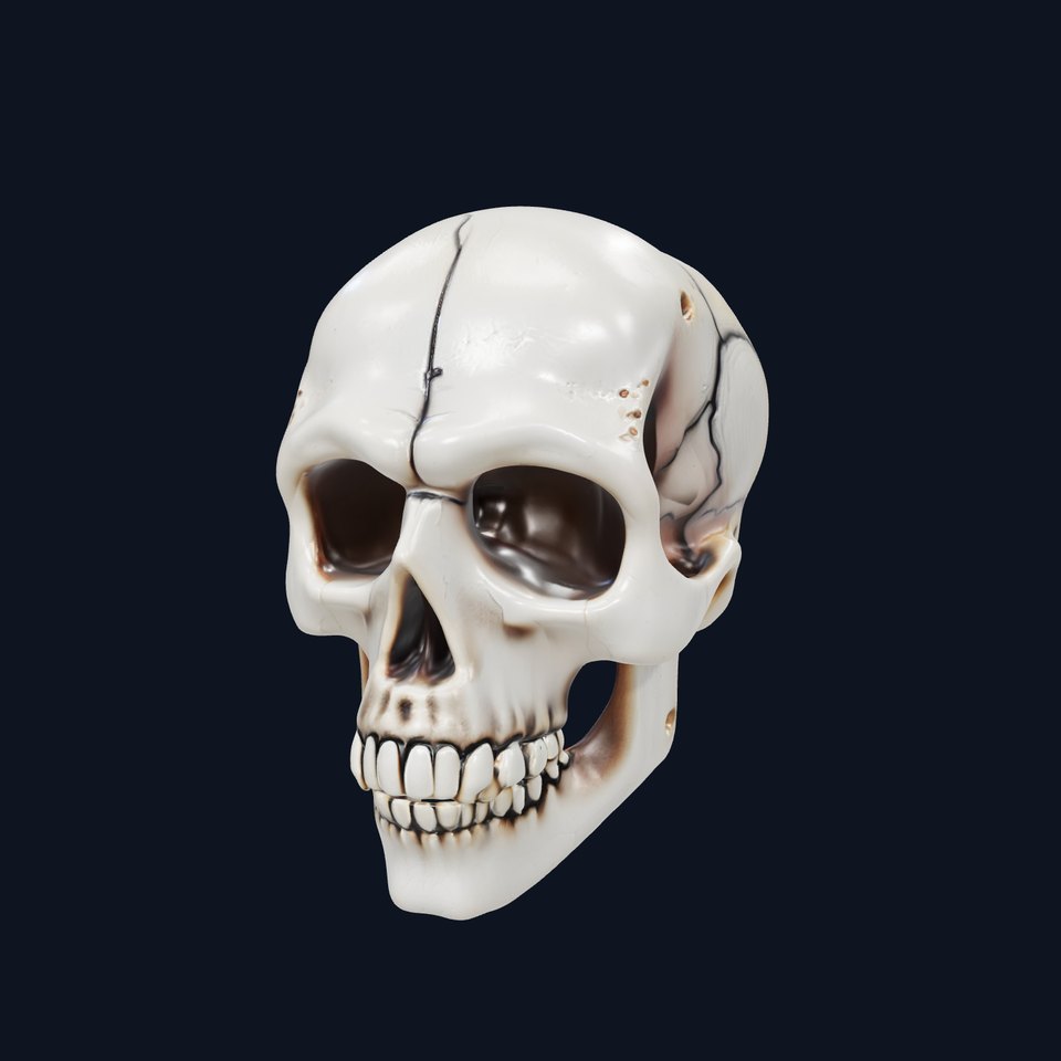 Human Skull Detailed Model Pack