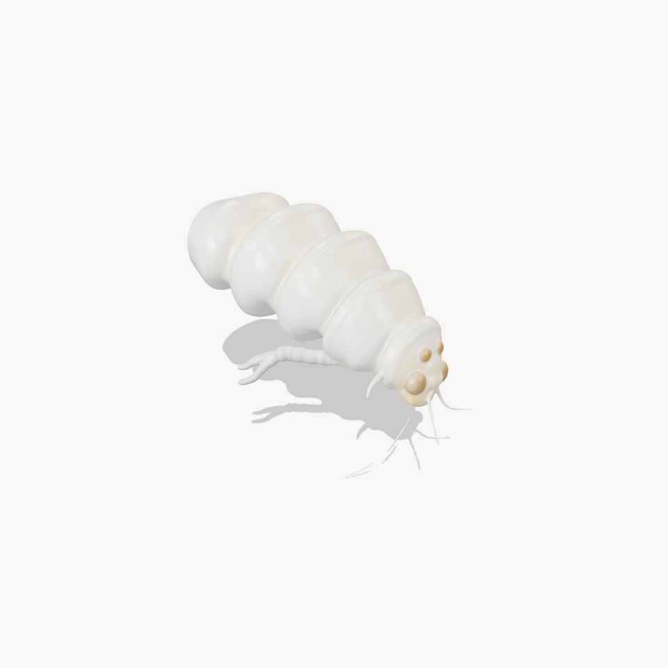 Transparent Larva Model Pack