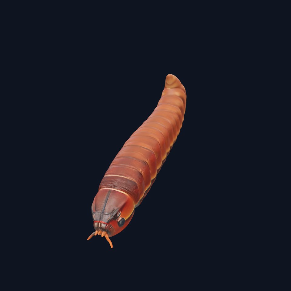 Realistic Millipede Model Pack for Animations and Games