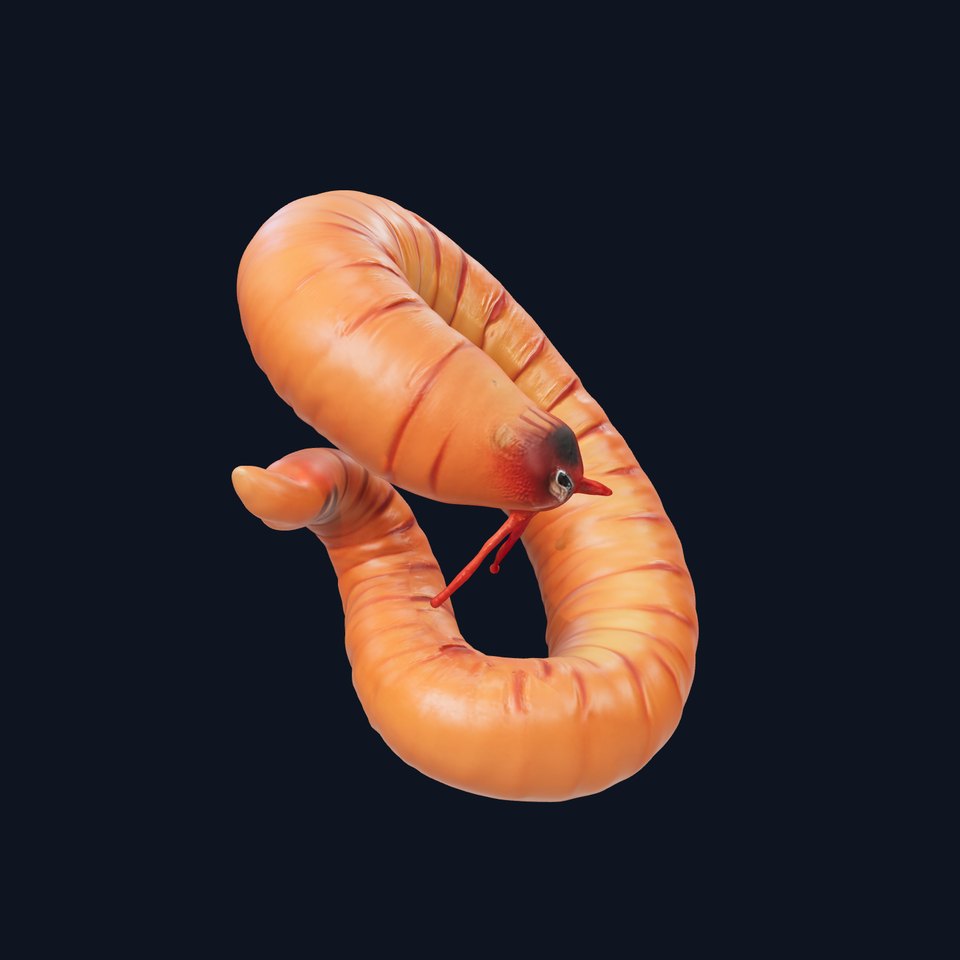 Curled Redworm D Model Pack