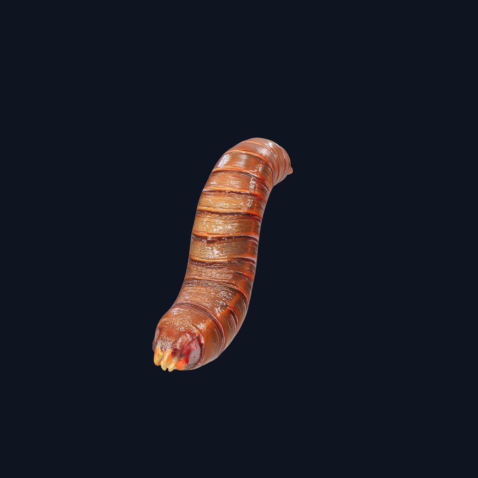 Realistic Worm Model Pack for Animation and Games