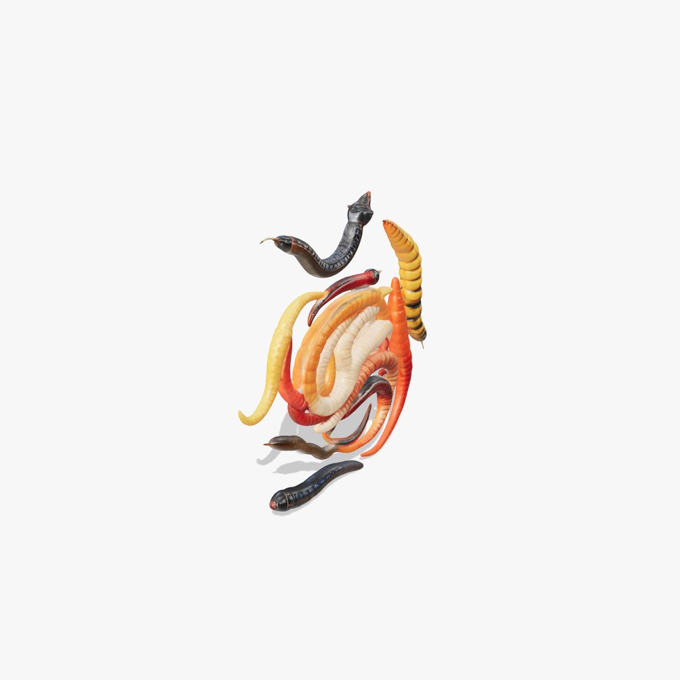 Realistic Worms Model Pack for Animation and Games