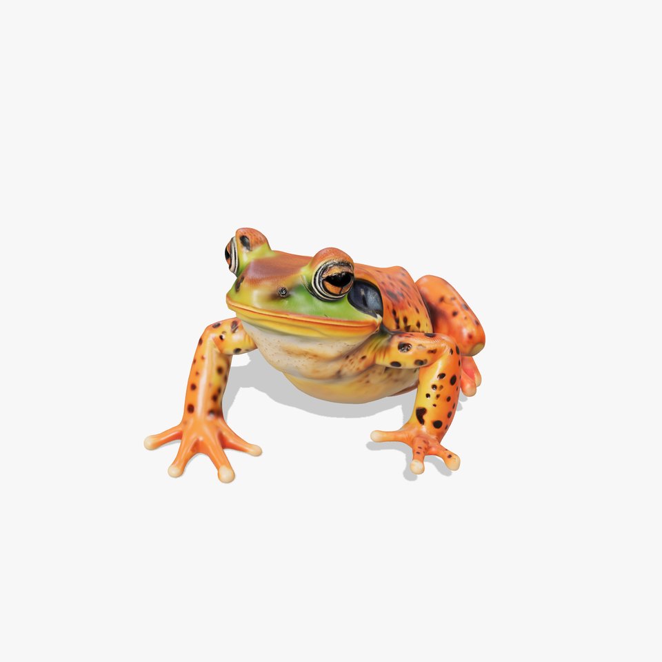 Colorful Frog Model Pack for Realistic Rendering