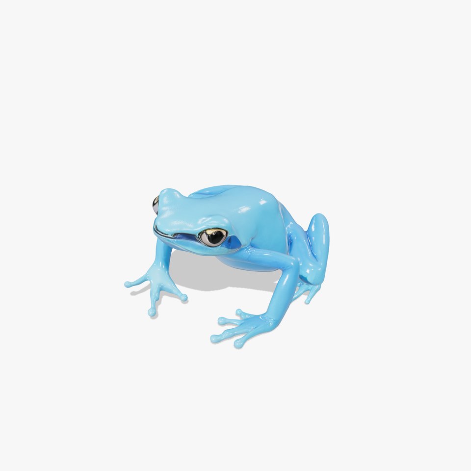 Blue Tree Frog D Model Pack