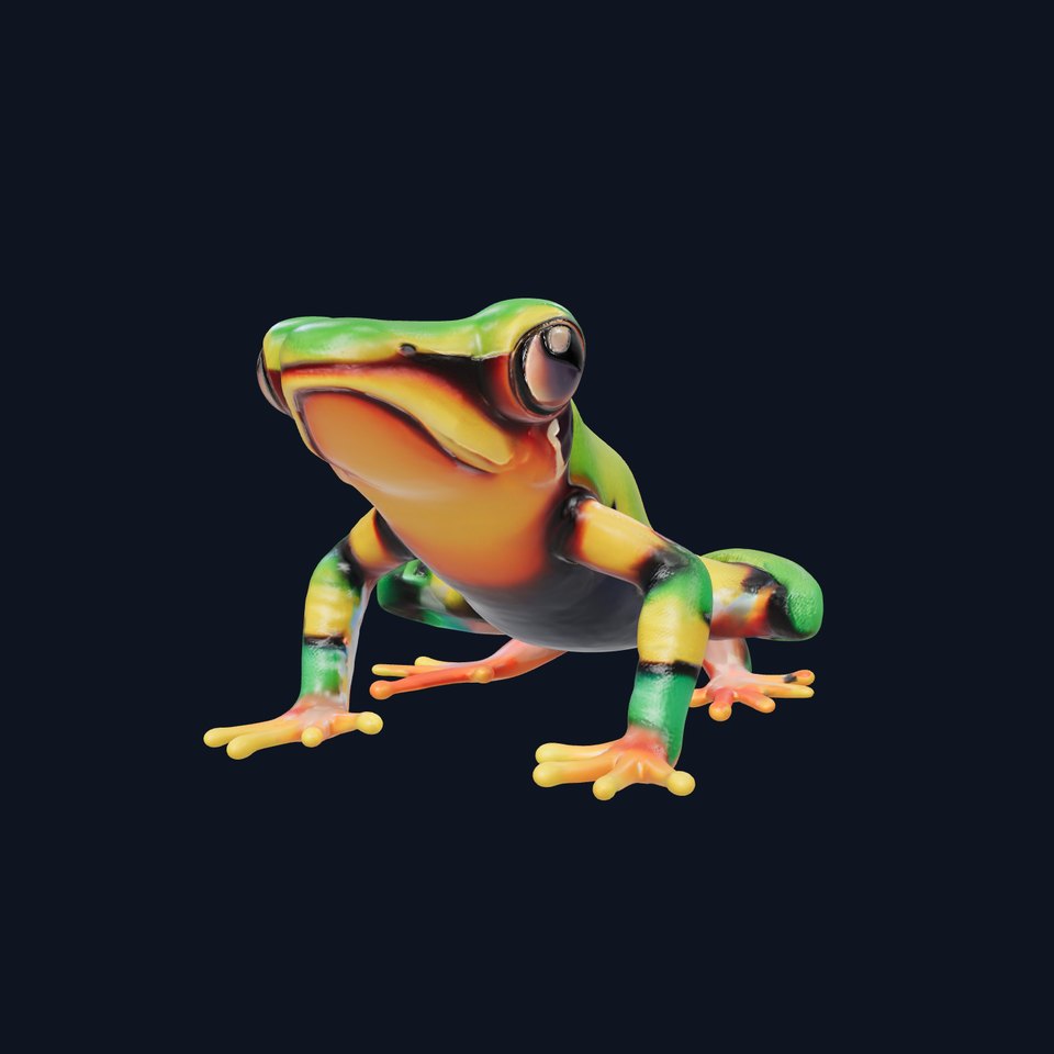 Colorful Frog D Model Pack