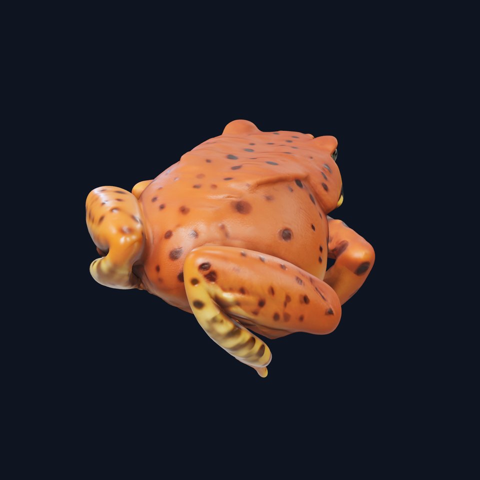 Realistic Frog Model Pack for D Production