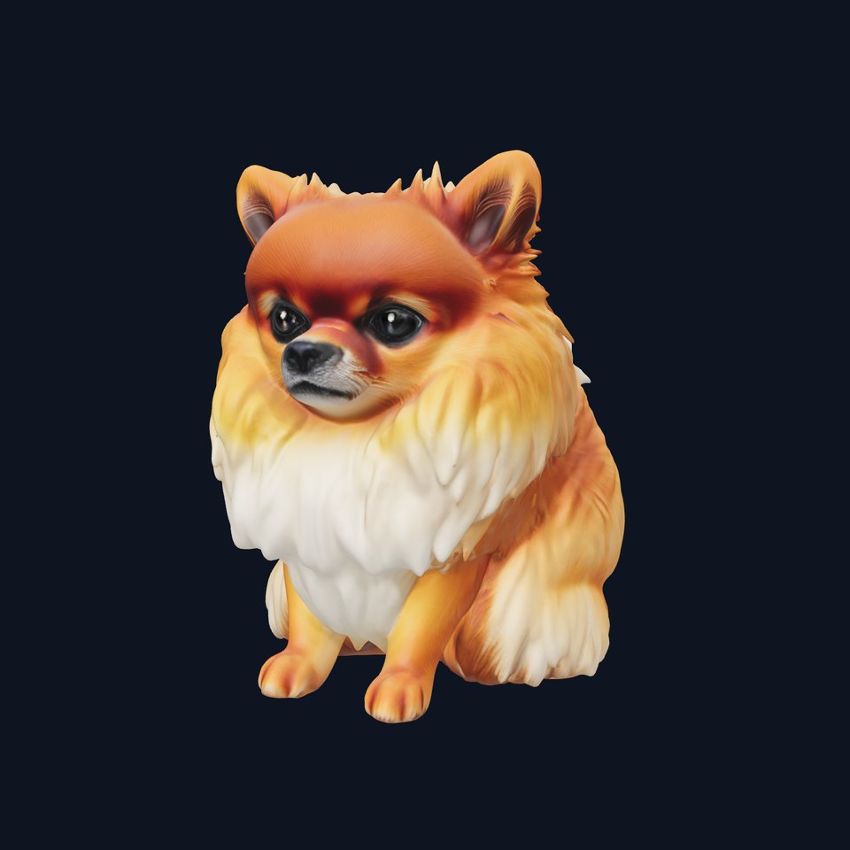 Fluffy Pomeranian Dog Model Pack