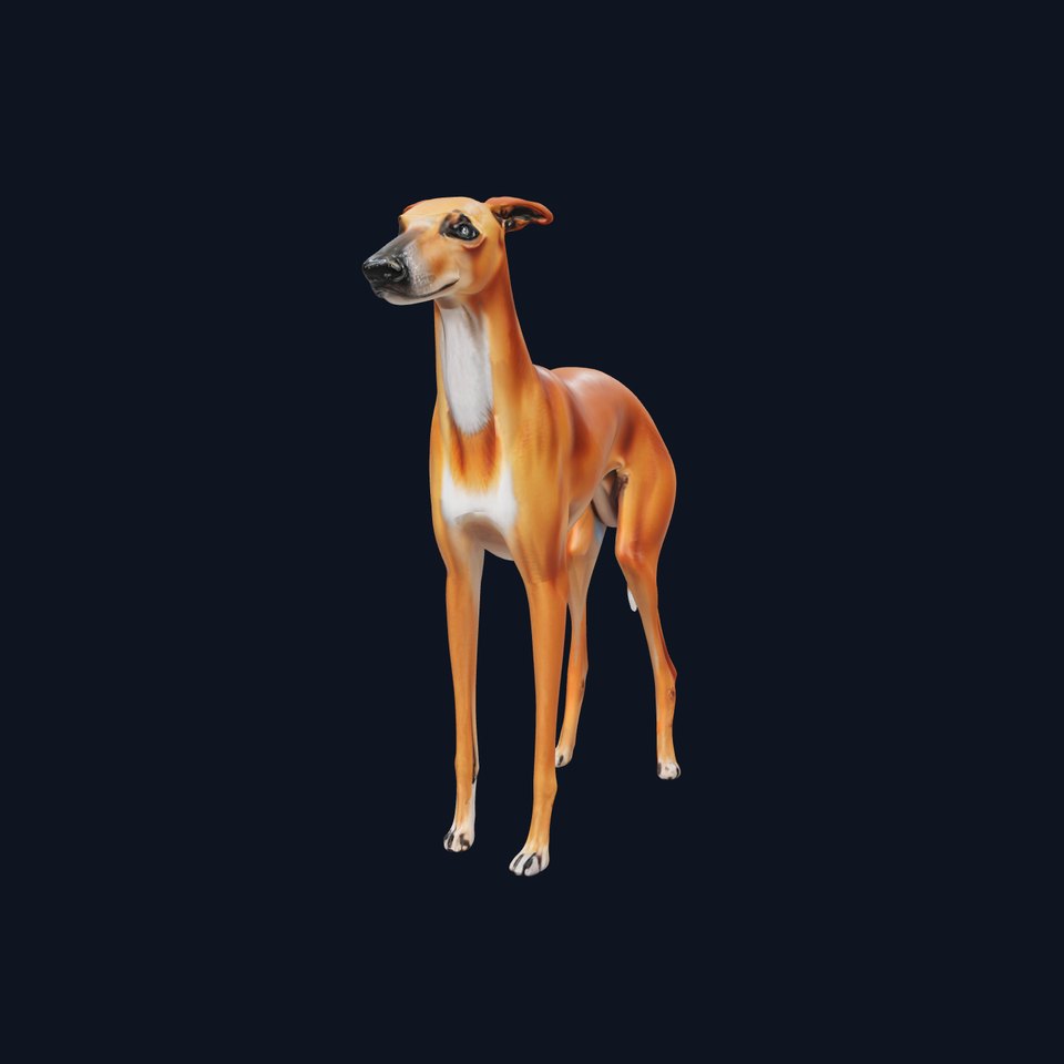 Realistic Greyhound Model Pack for D Rendering
