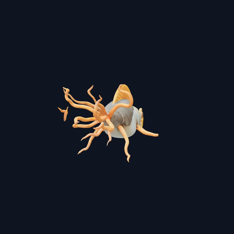 Fantastical Sea Creature Model Pack for Animation  Games