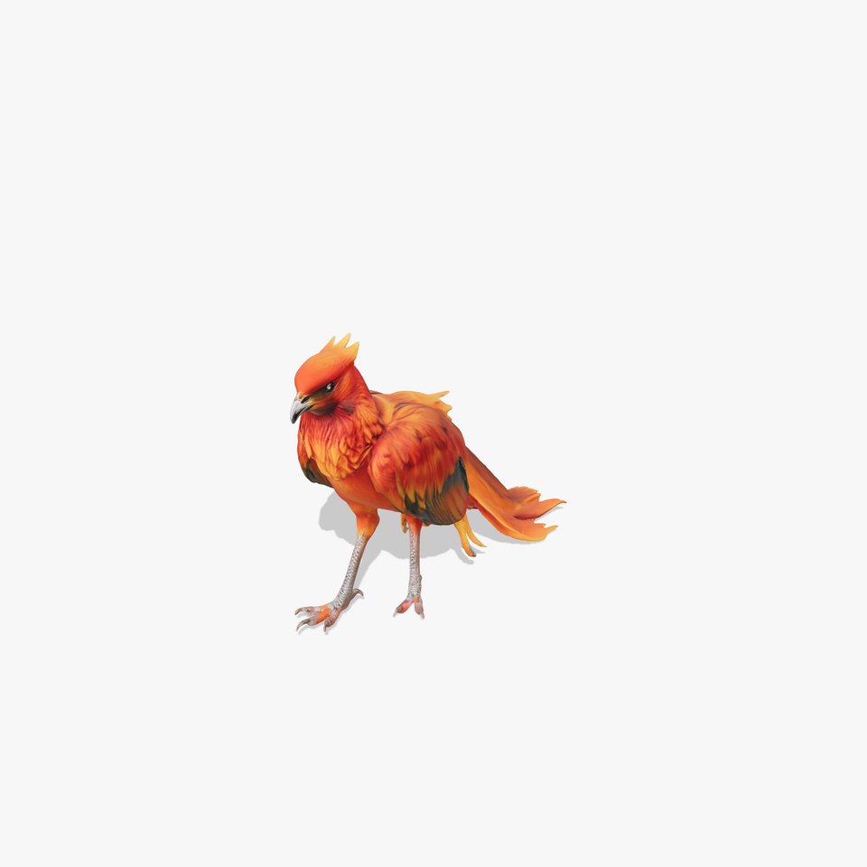 Exotic Bird D Model Pack with Detailed Plumage