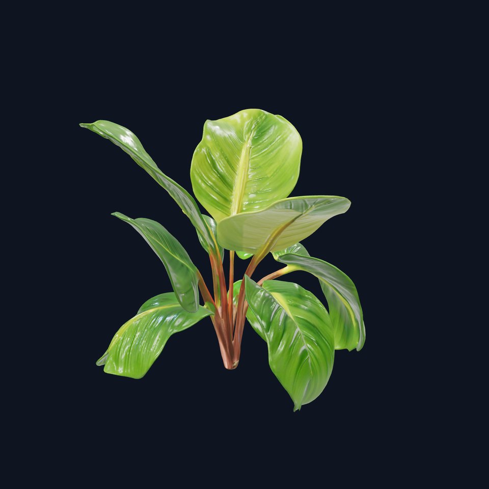 Tropical Plant Model Pack for Environment Design