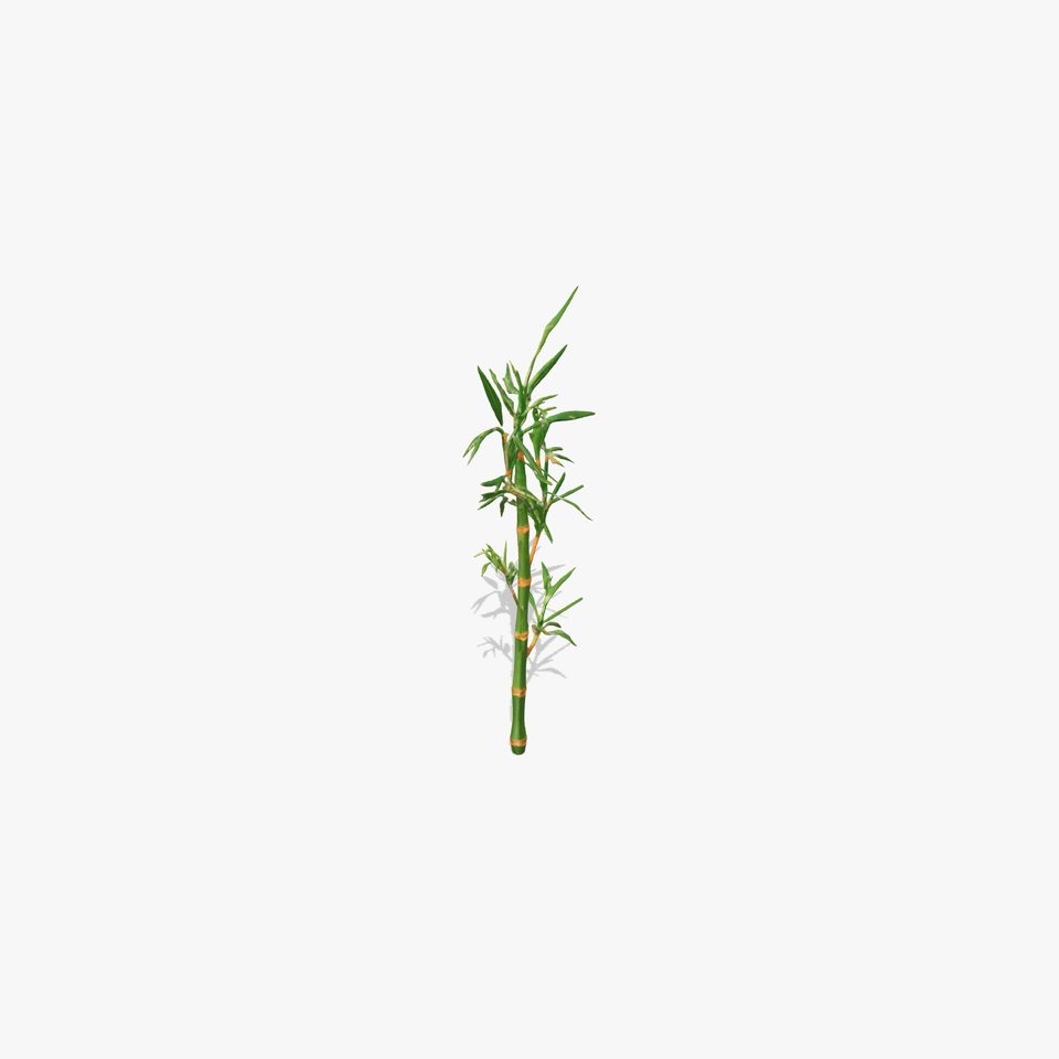 Bamboo Plant Model Pack