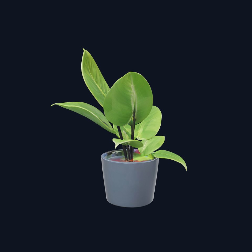 Realistic Potted Plant Model Pack
