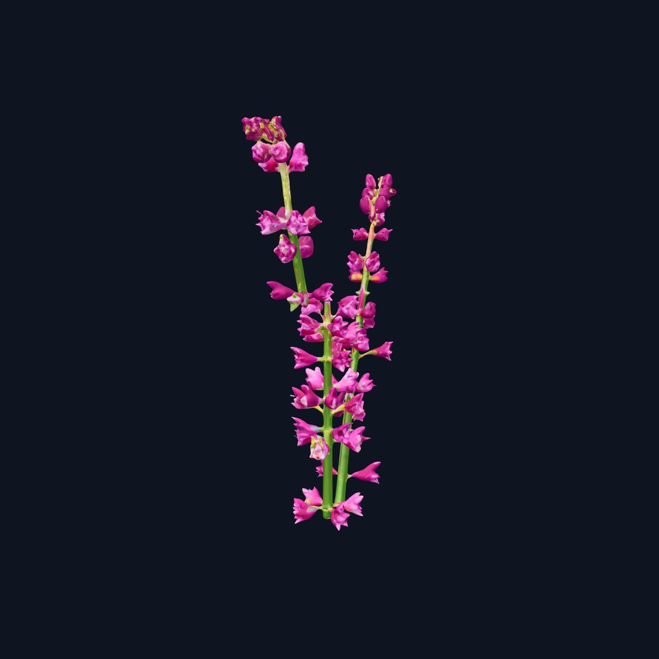 Vibrant Pink Flower Model Pack