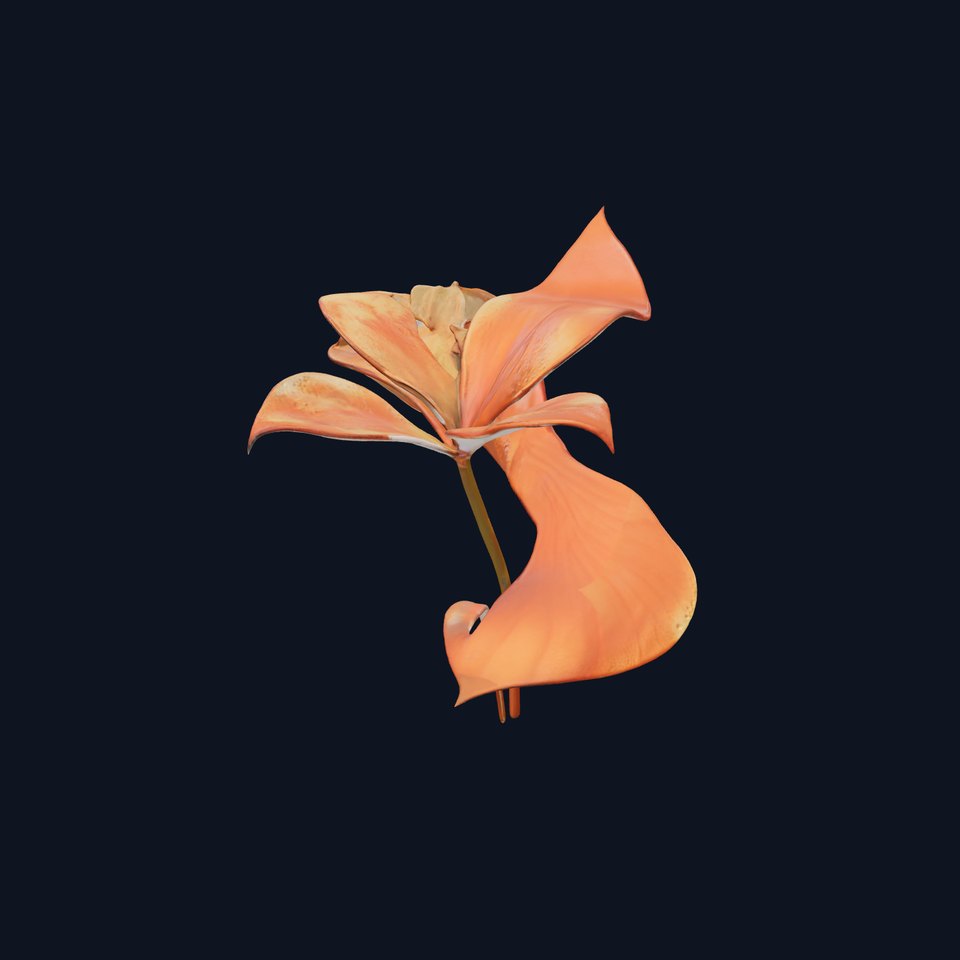 Rustic Floral Art Model Pack