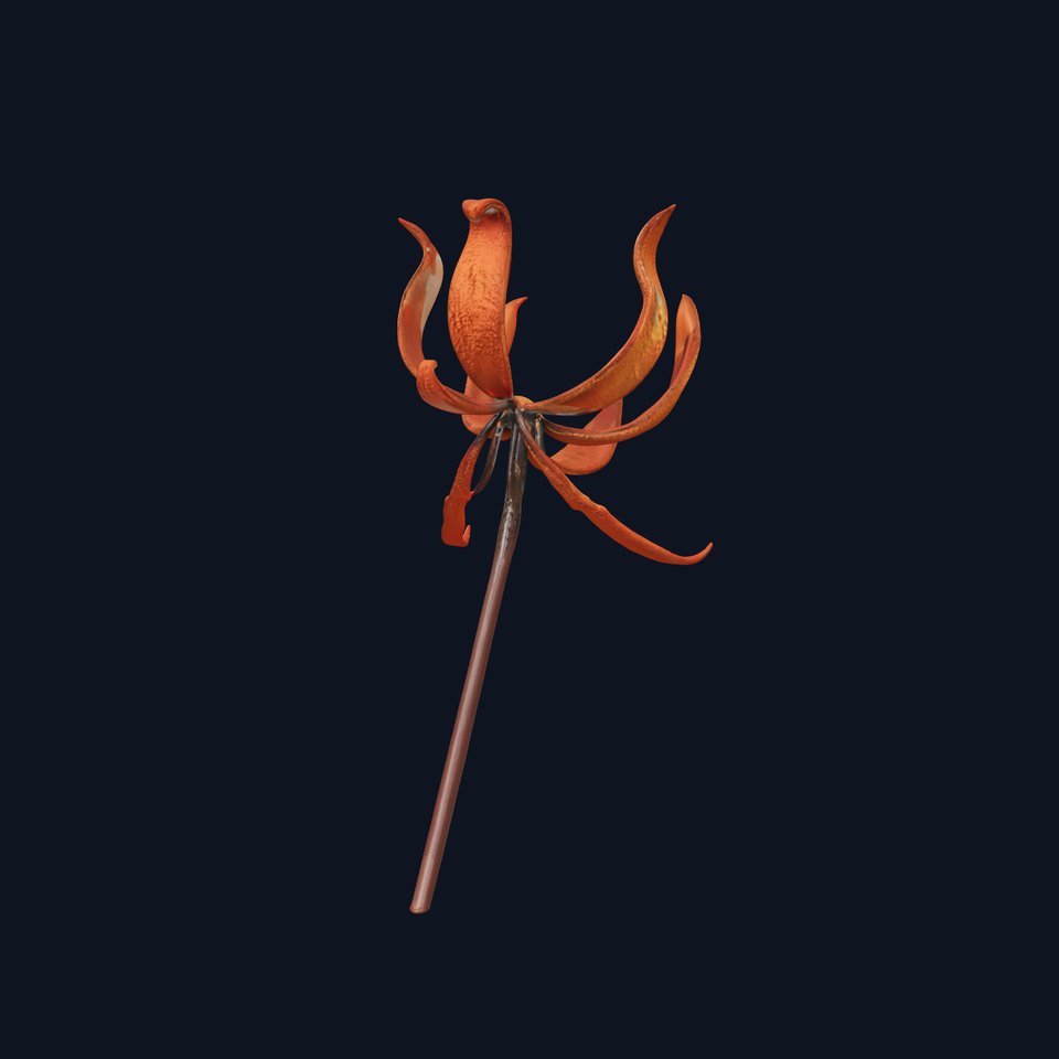 Rustic Flower Model Pack with Decorative Design