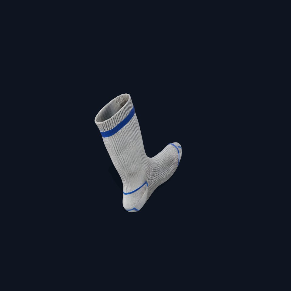 Gray Sock with Blue Stripe Model Pack