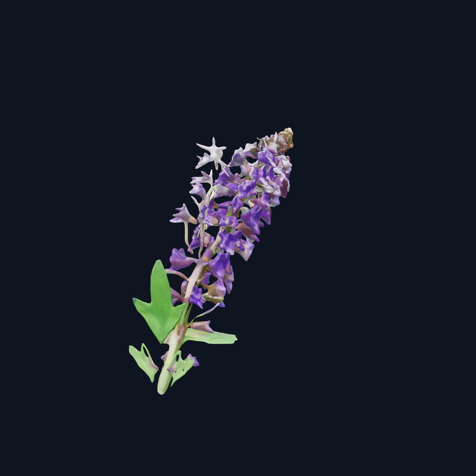 Purple Flower Model Pack with Multiple Levels of Detail