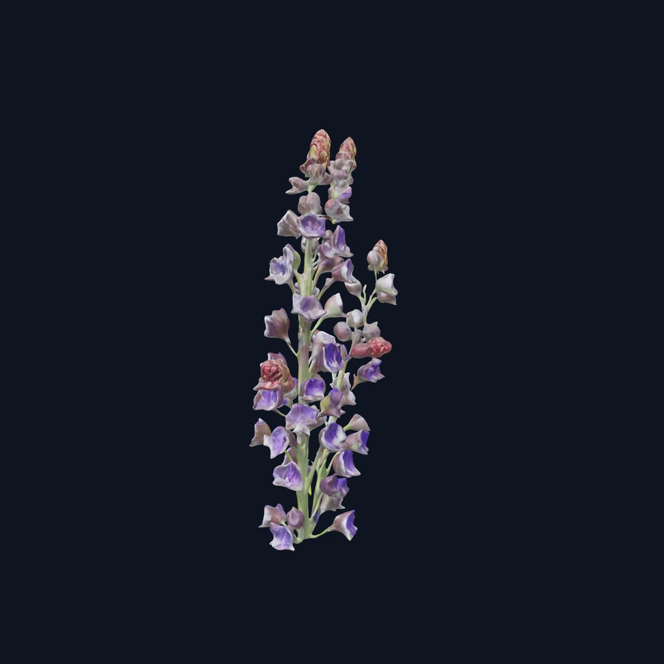 Lavender Flower Model Pack  Detailed PBR Textures