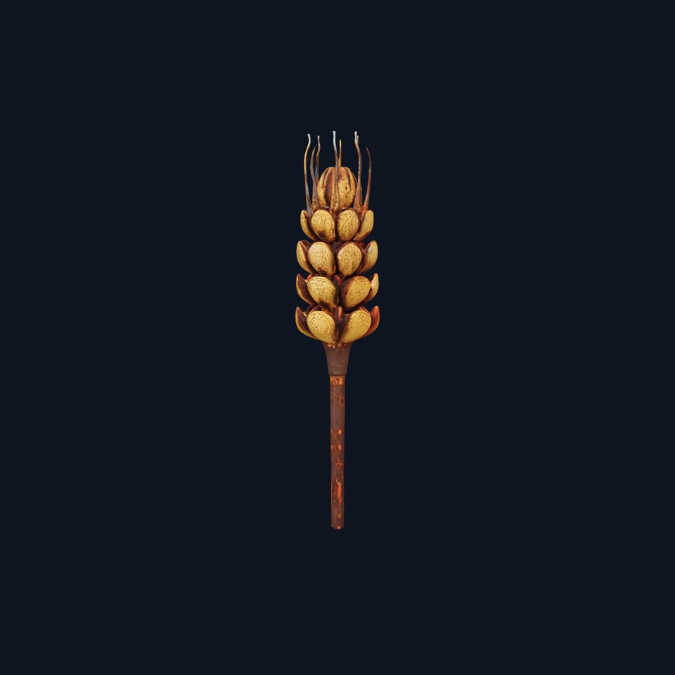 Detailed Wheat Ear Model Pack for Realistic Rendering