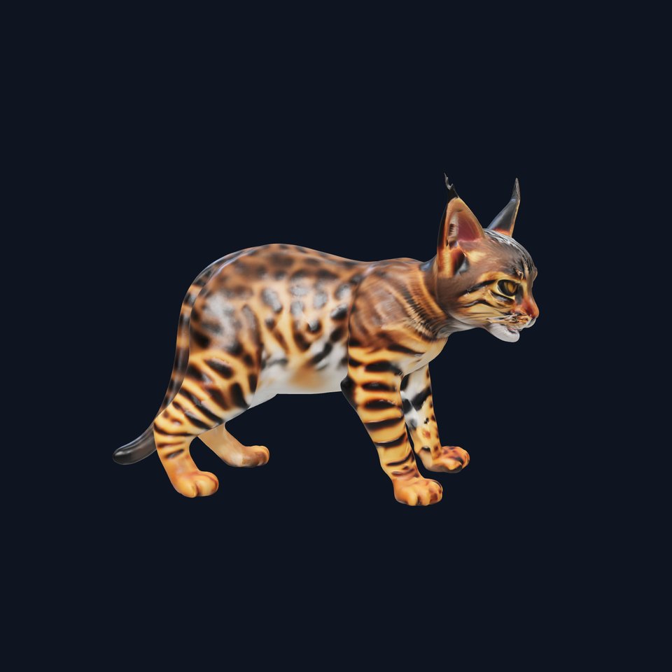 Realistic Spotted Bengal Cat Model Pack