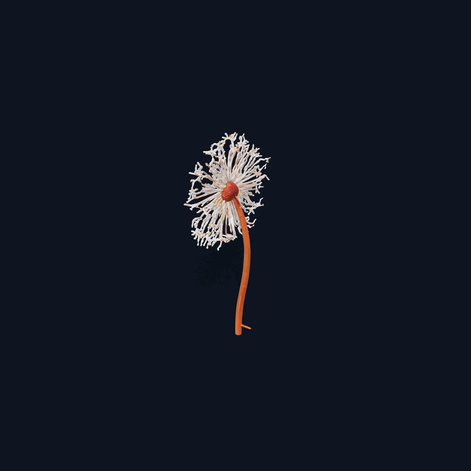 Dandelion Seed Model Pack