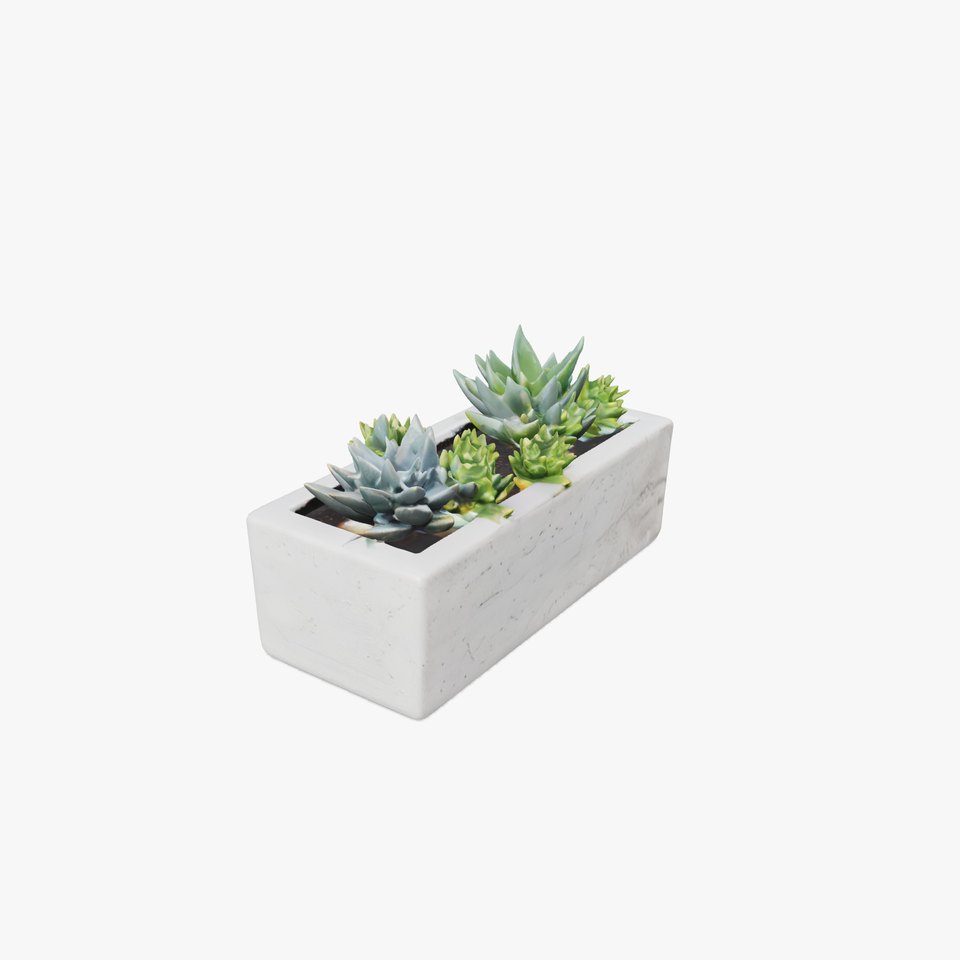 Modern Succulent Planter Box Model Pack
