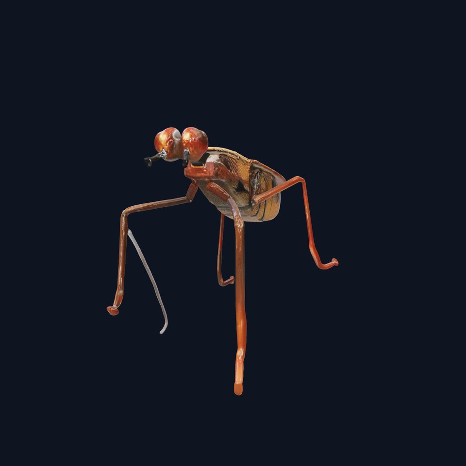 Realistic Insect Model Pack  Detailed and Versatile