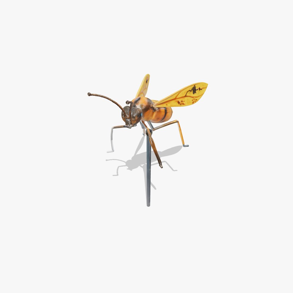 Stylized Insect Model Pack for D Animations