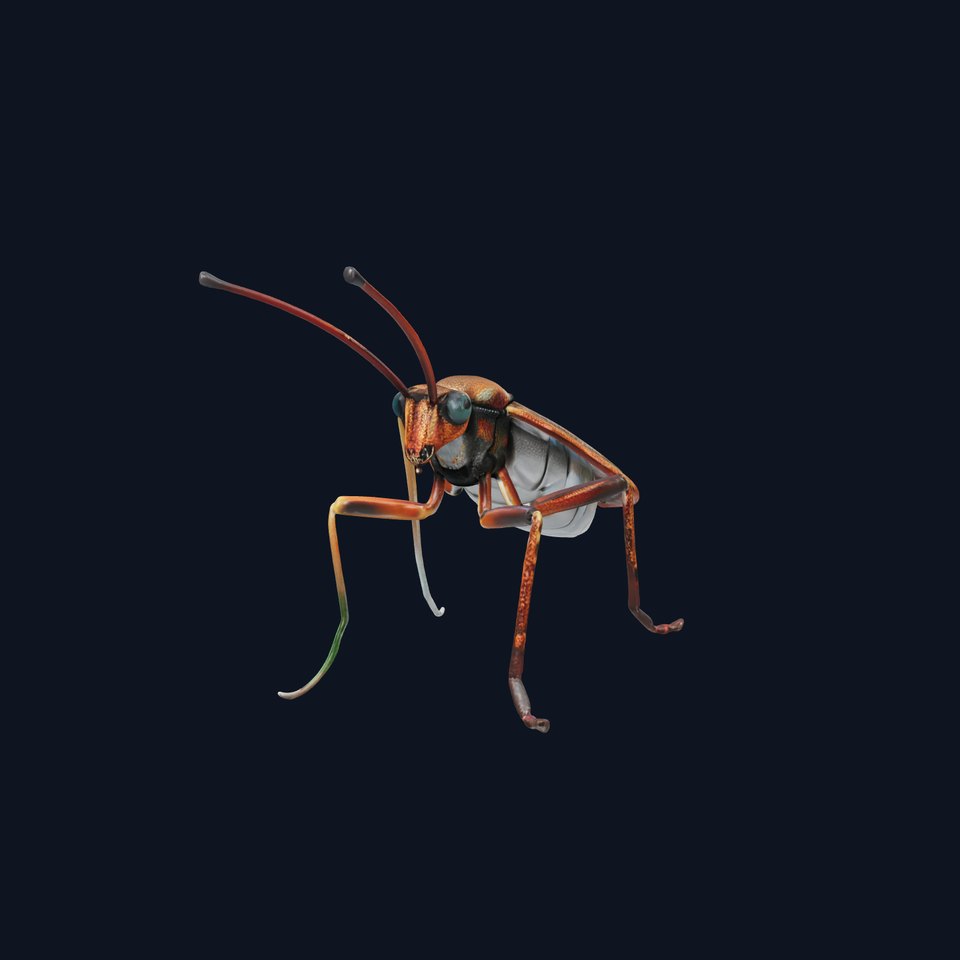Realistic Insect Model Pack for Virtual Environments