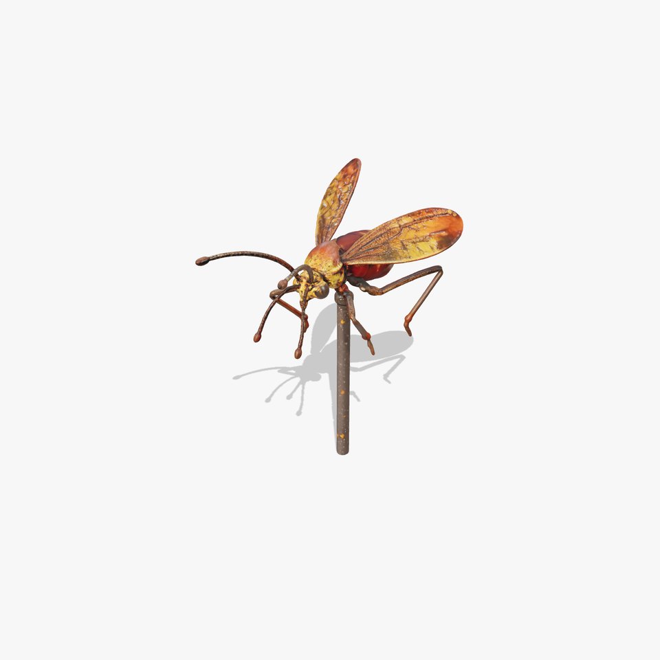 Detailed Insect Model Pack for Animation and Games