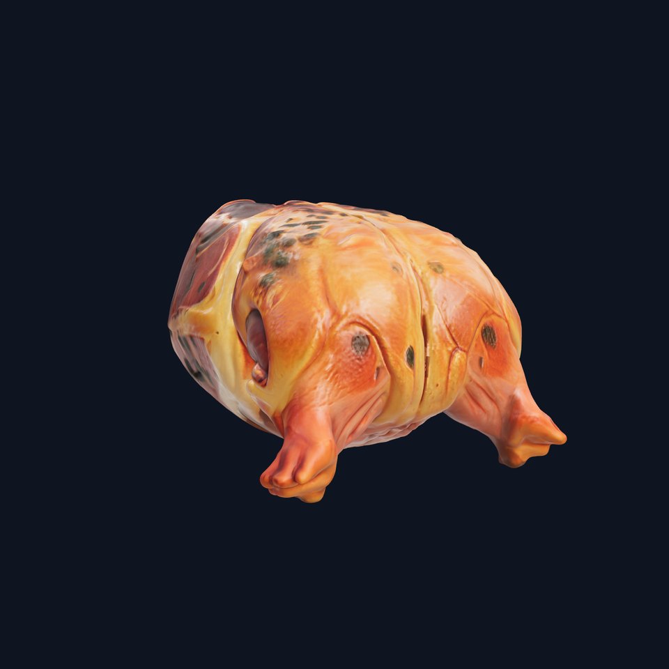 Realistic Raw Meat Model Pack for Culinary Visuals