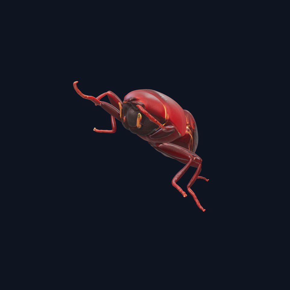 Realistic Beetle Model Pack for Rendering and Games