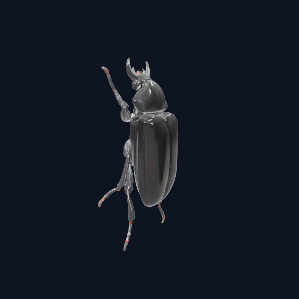 Stag Beetle Model Pack  Realistic D Detailed Collection