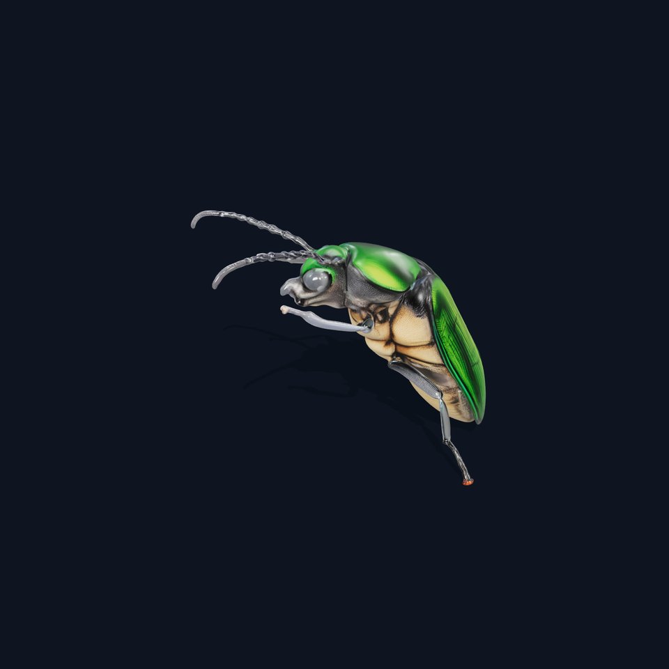 Iridescent Beetle Model Pack for HighDetail Rendering and Games