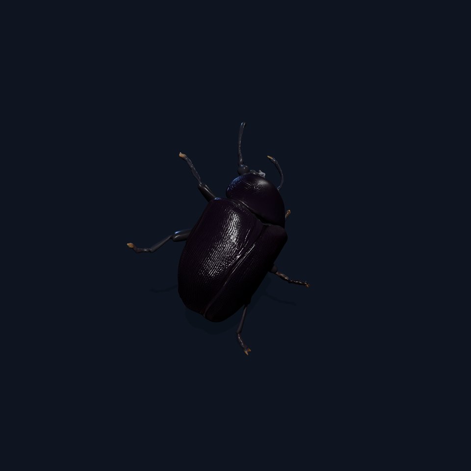 Iridescent Beetle D Model Pack with High Detail