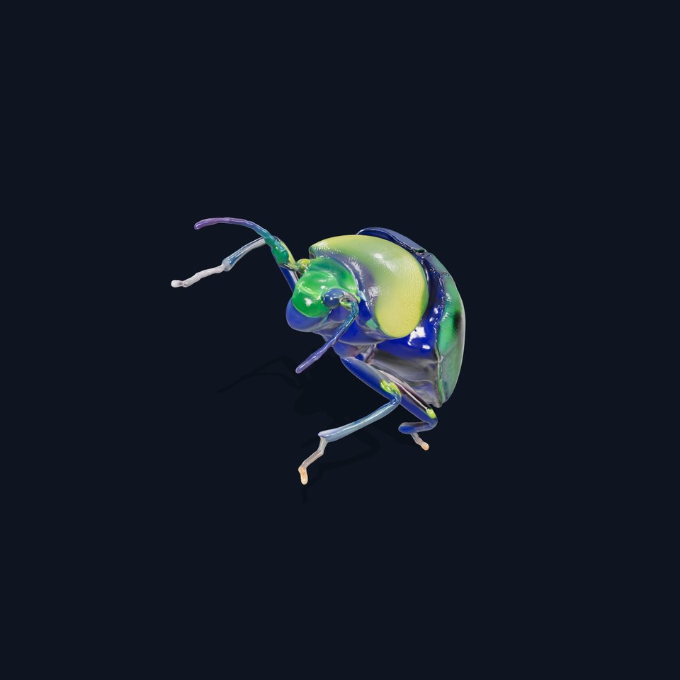 Iridescent Beetle Model Pack