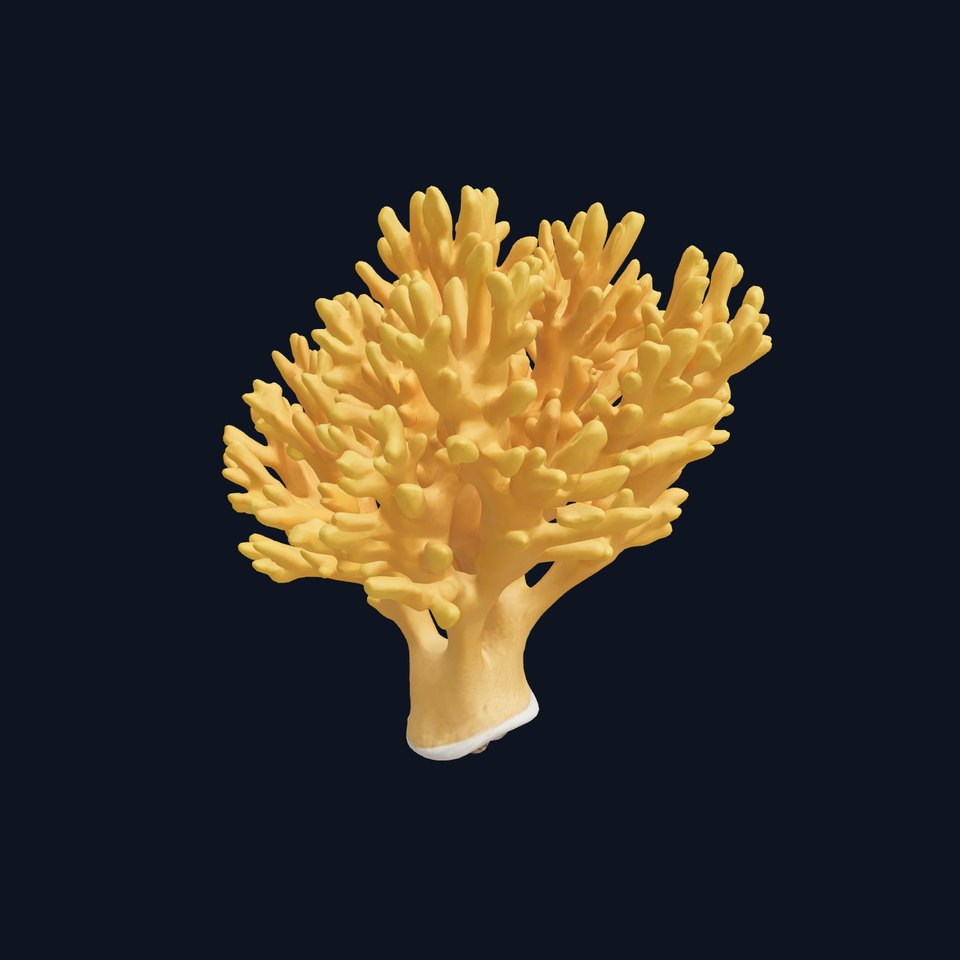 Yellow Coral Model Pack for Detailed D Environments