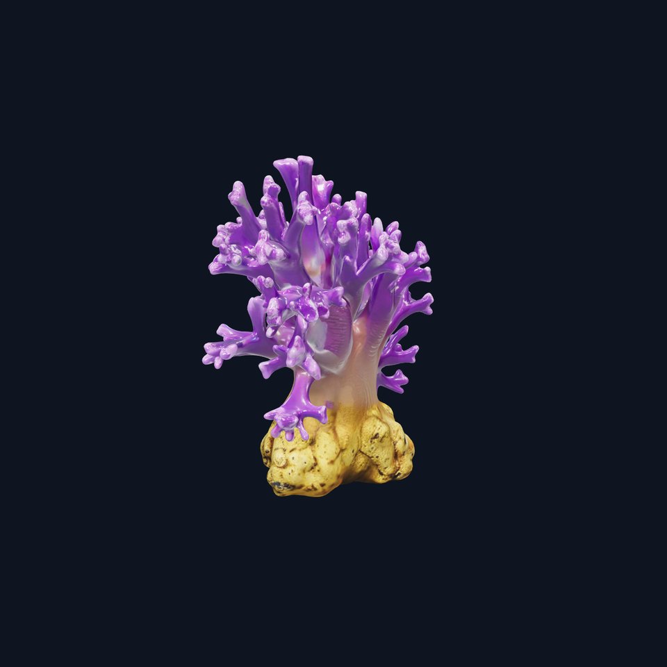 Vibrant Purple Coral Reef Model Pack