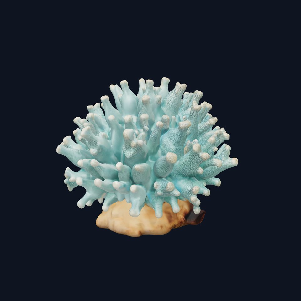 Blue Coral Reef model pack