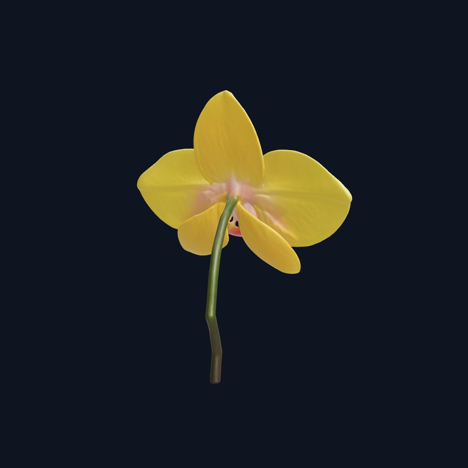 Orchid Flower Model Pack with PBR Textures