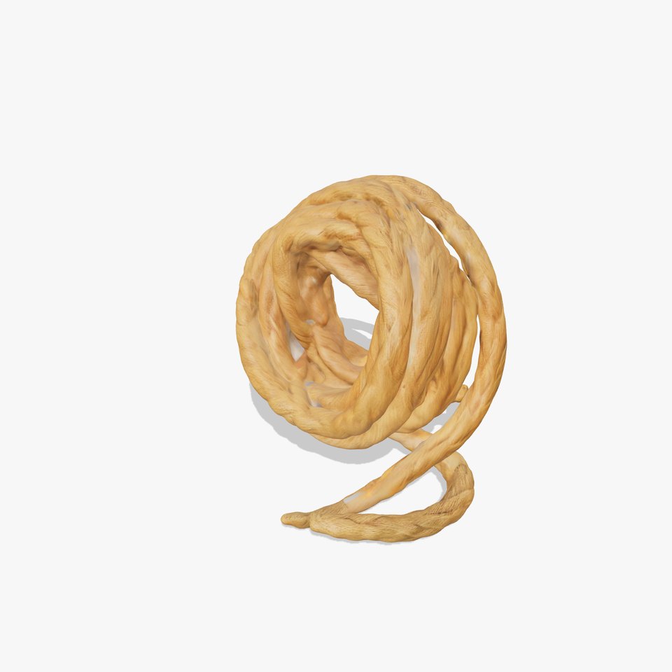 Realistic Rope Model Pack for D Rendering and Game Design