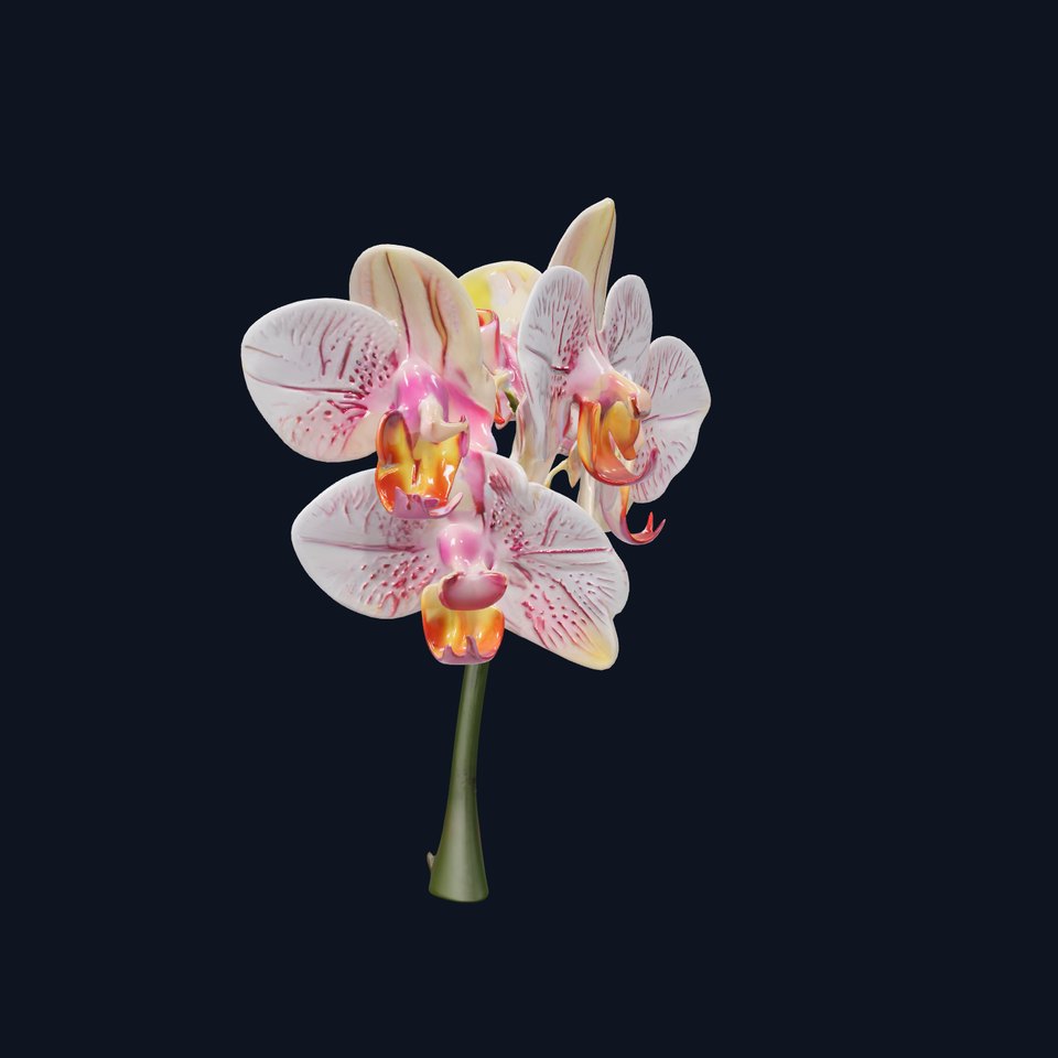 Orchid Flower D Model Pack