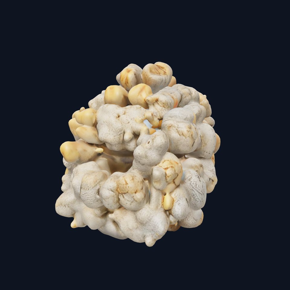 Realistic Coral Stone Model Pack for D Environments