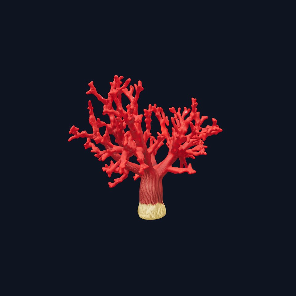 Vibrant Red Coral Reef Model Pack