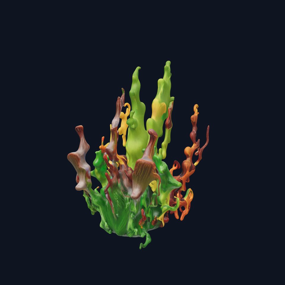 Colorful Seaweed Model Pack  High Detail D Render