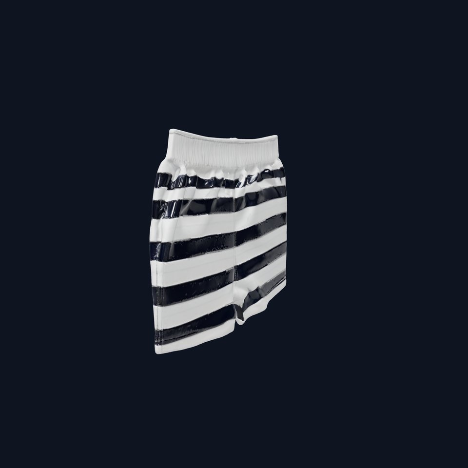 Striped Swim Shorts D Model Pack